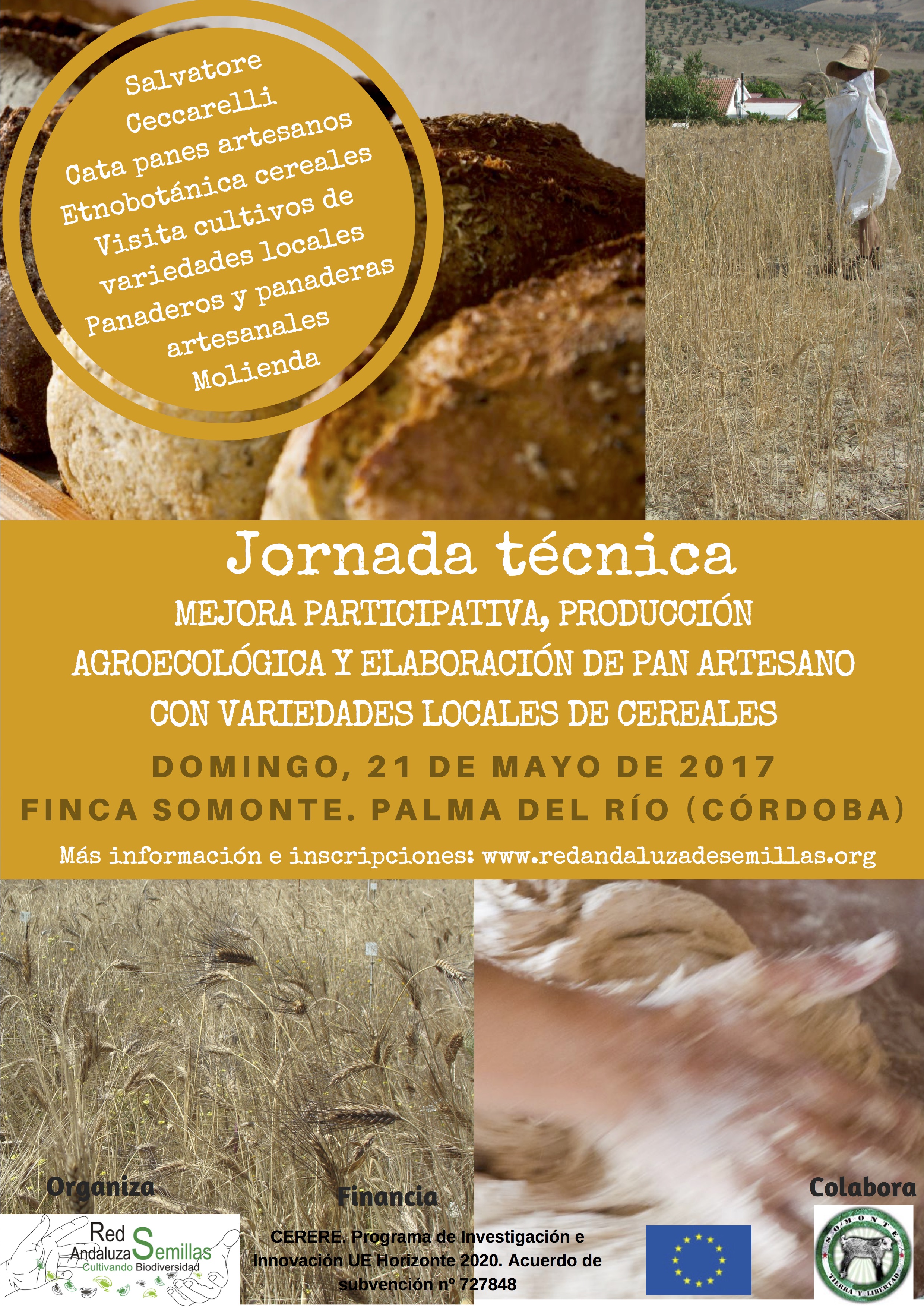 Cartel somonte