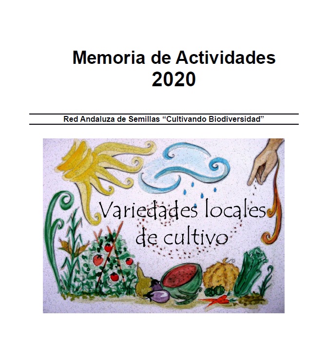 Memoria RAS 2020