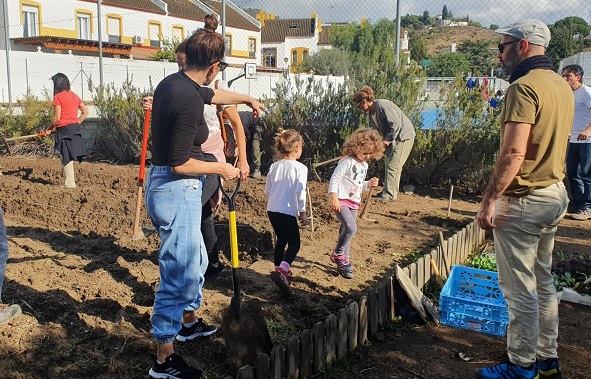 Siembra en huerto escolar